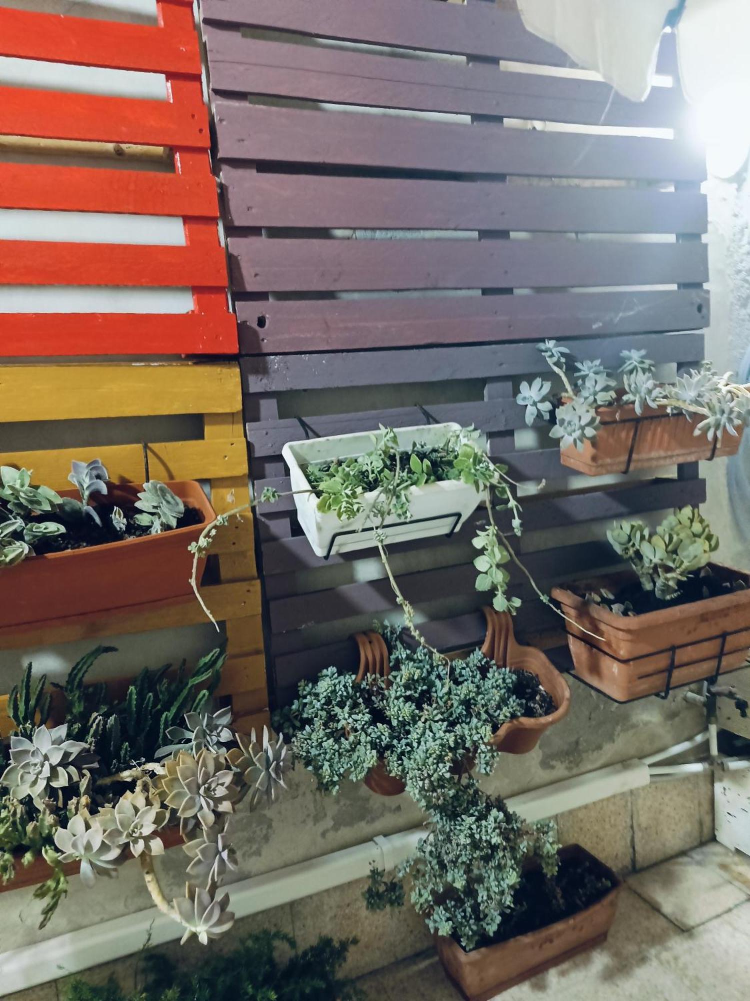 דירות סירקוזה Casa Ierone L'Etneo מראה חיצוני תמונה